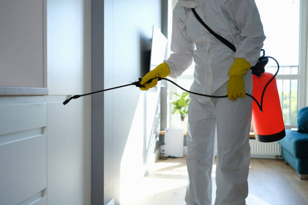 Best Mold Remediation for Specific Building Types in Las Vegas, NV